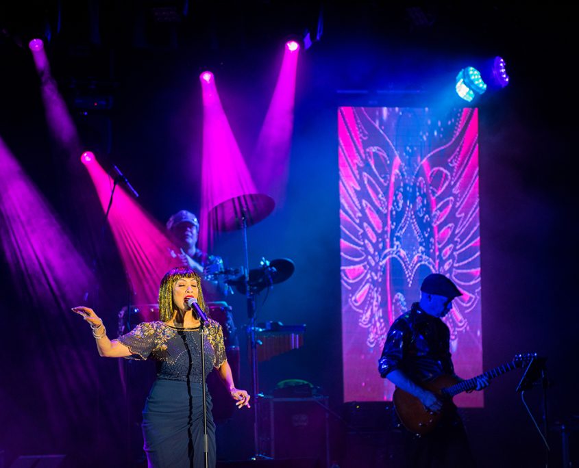 South-Sydney-Junior-Rugby-League-Club-3 South Sydney Junior Rugby League Club Stage LED Screens