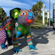 2021_Hota_Tickers_16m